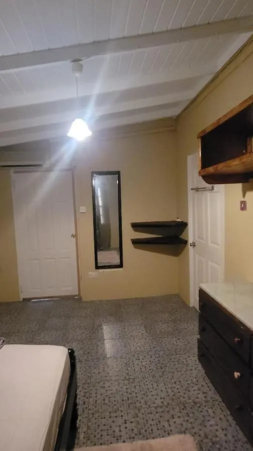 Budget Pleazer Apartments St. George's
