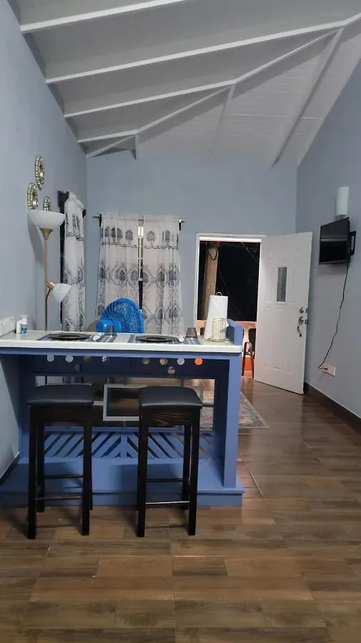 Budget Pleazer Apartments St. George's