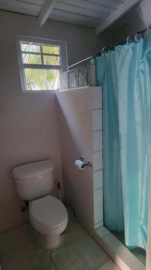 Budget Pleazer Apartments St. George's